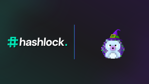 Press Release: Hashlock Completes a Token Smart Contract Audit for Hedgecast AI
