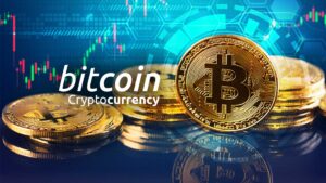Bitcoin sets New Record as One Million "Wholecoiners"  in Midst of Market Chaos