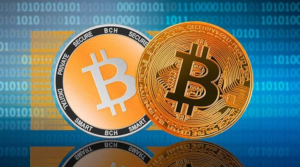 Hayes Forecasts a Potential Leap in Bitcoin Value, Eyeing a Staggering $750,000 to $1 Million